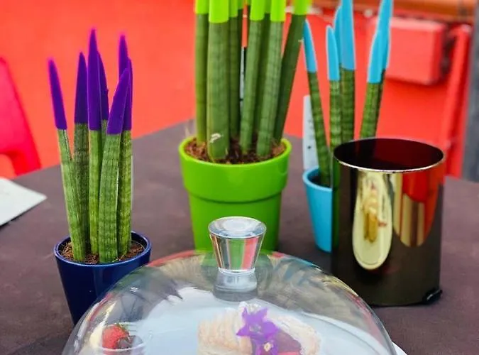 B&B Civico 33 스칼레아